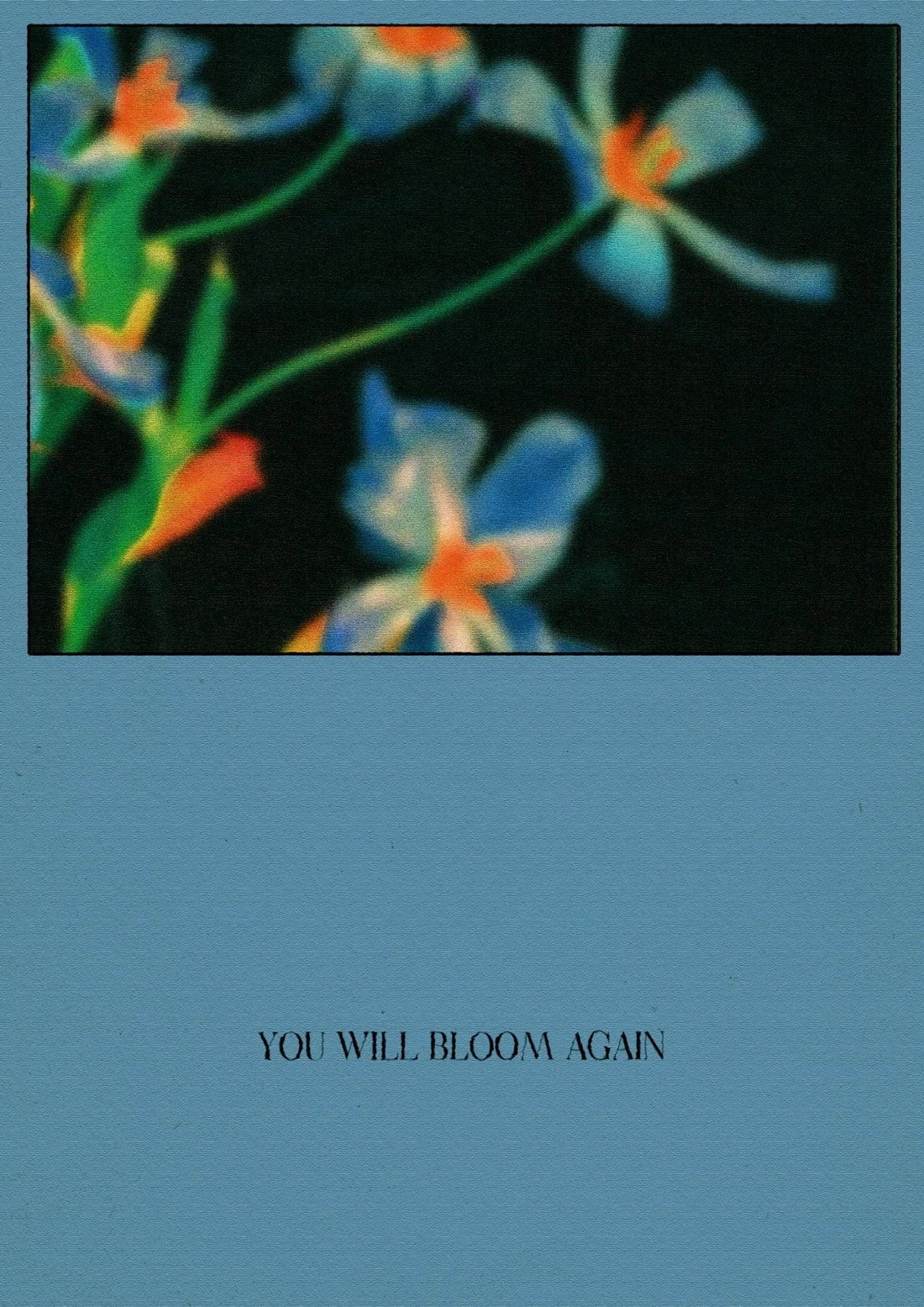 Bloom - Image 2