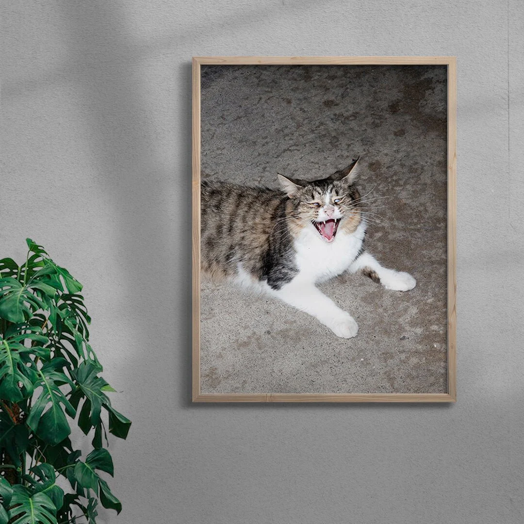 Cat Face - Image 4