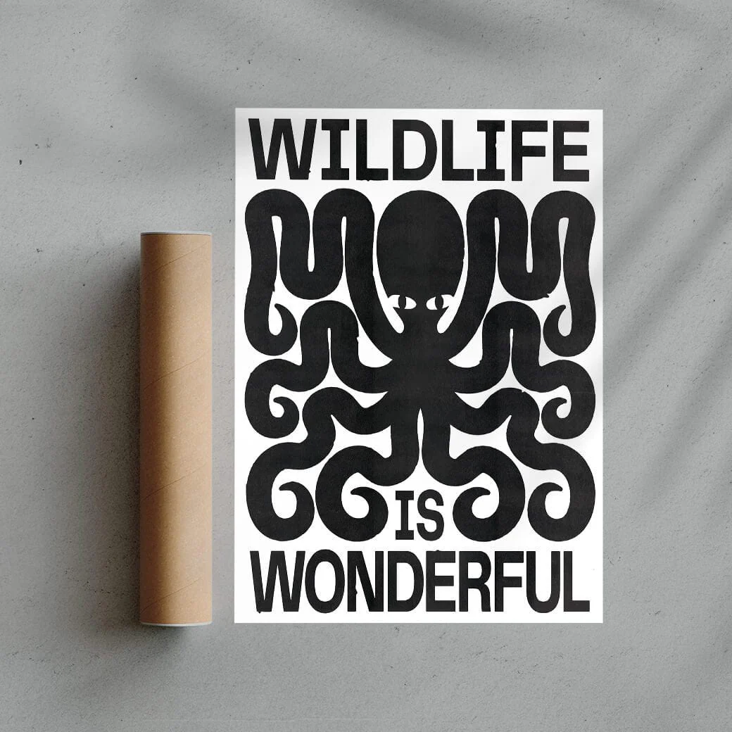 Wildlife - Image 2
