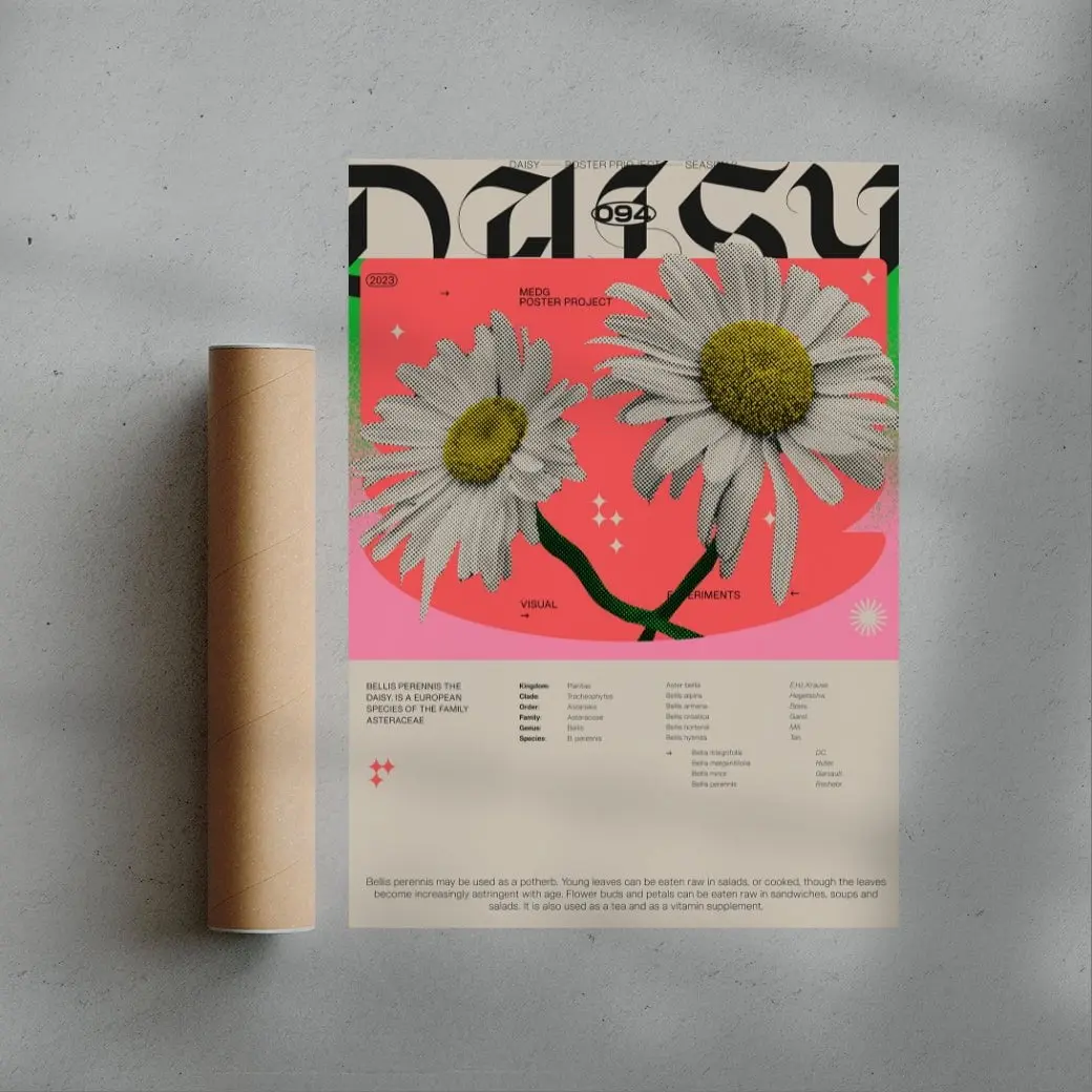 Daisy - Image 3