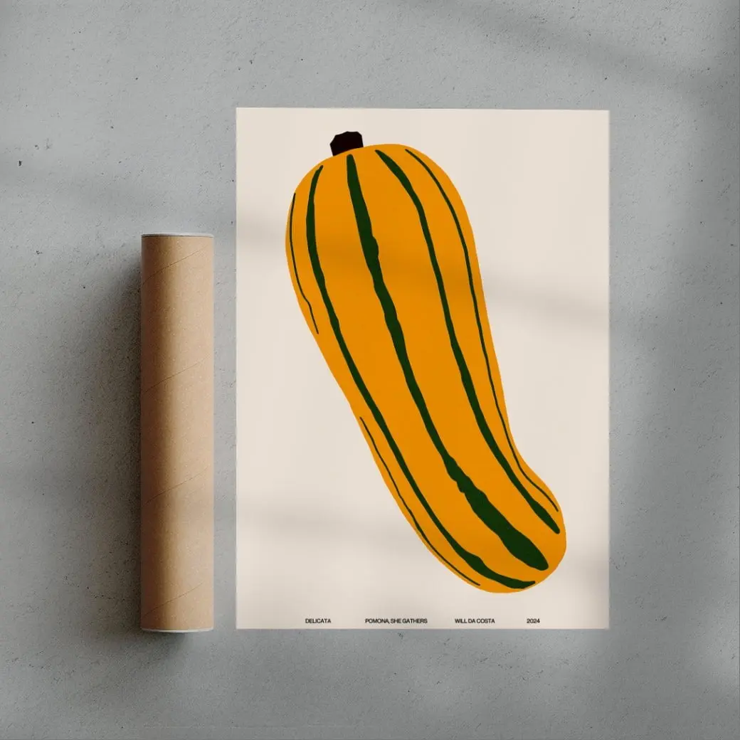Delicata - Image 3