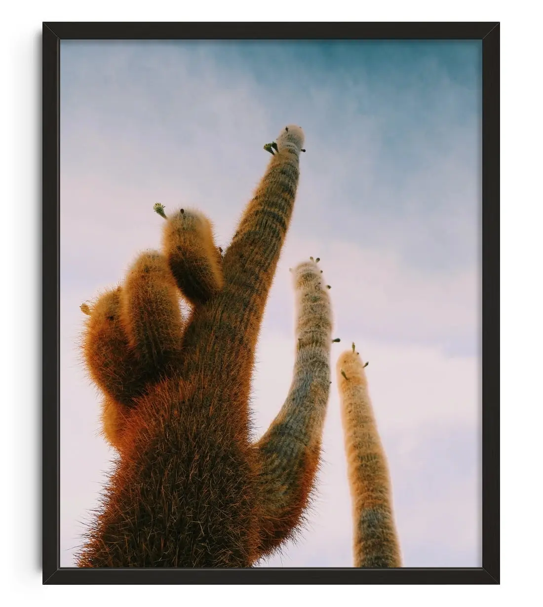 FUZZY.