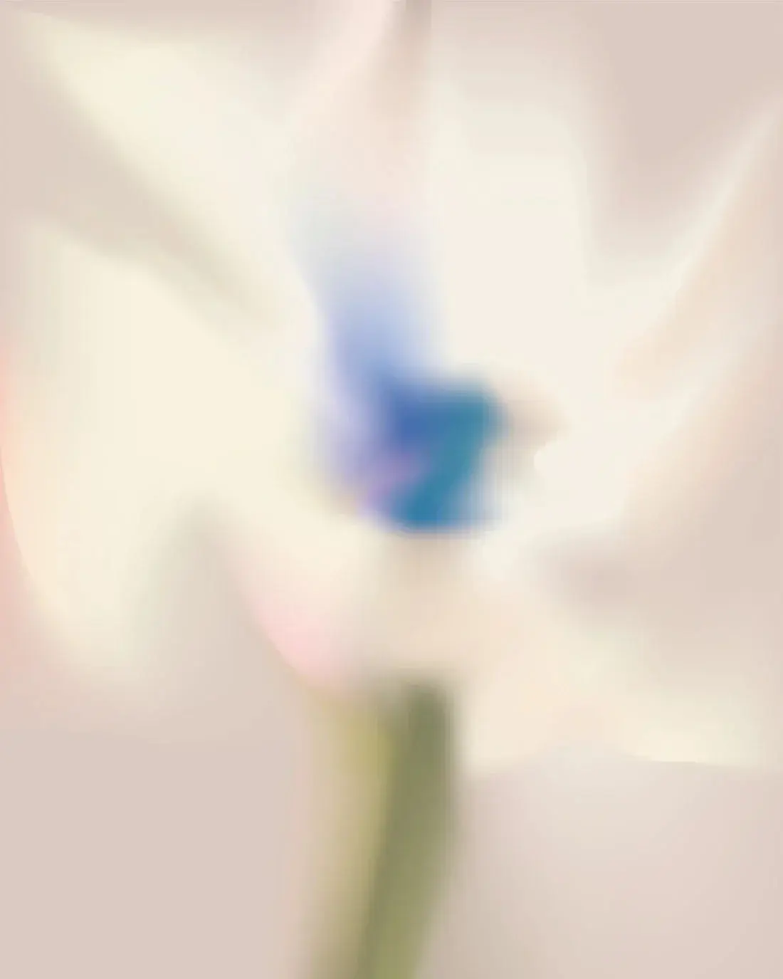 REV_WHITE FLOWER - Image 2