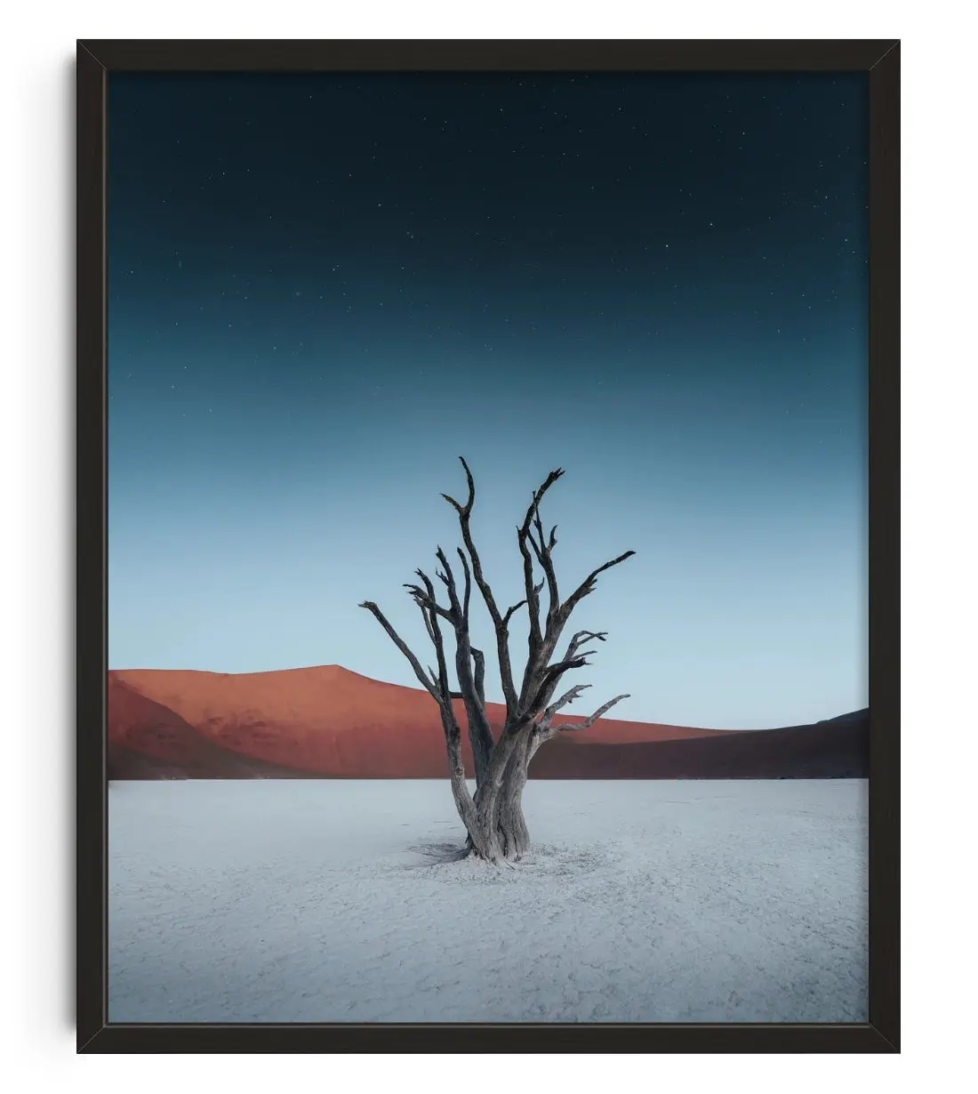 Skeleton Tree