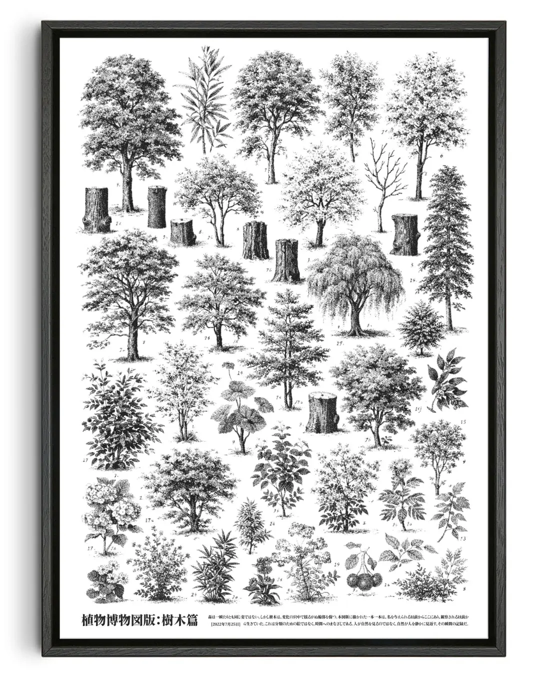Whispers of the Woodland
